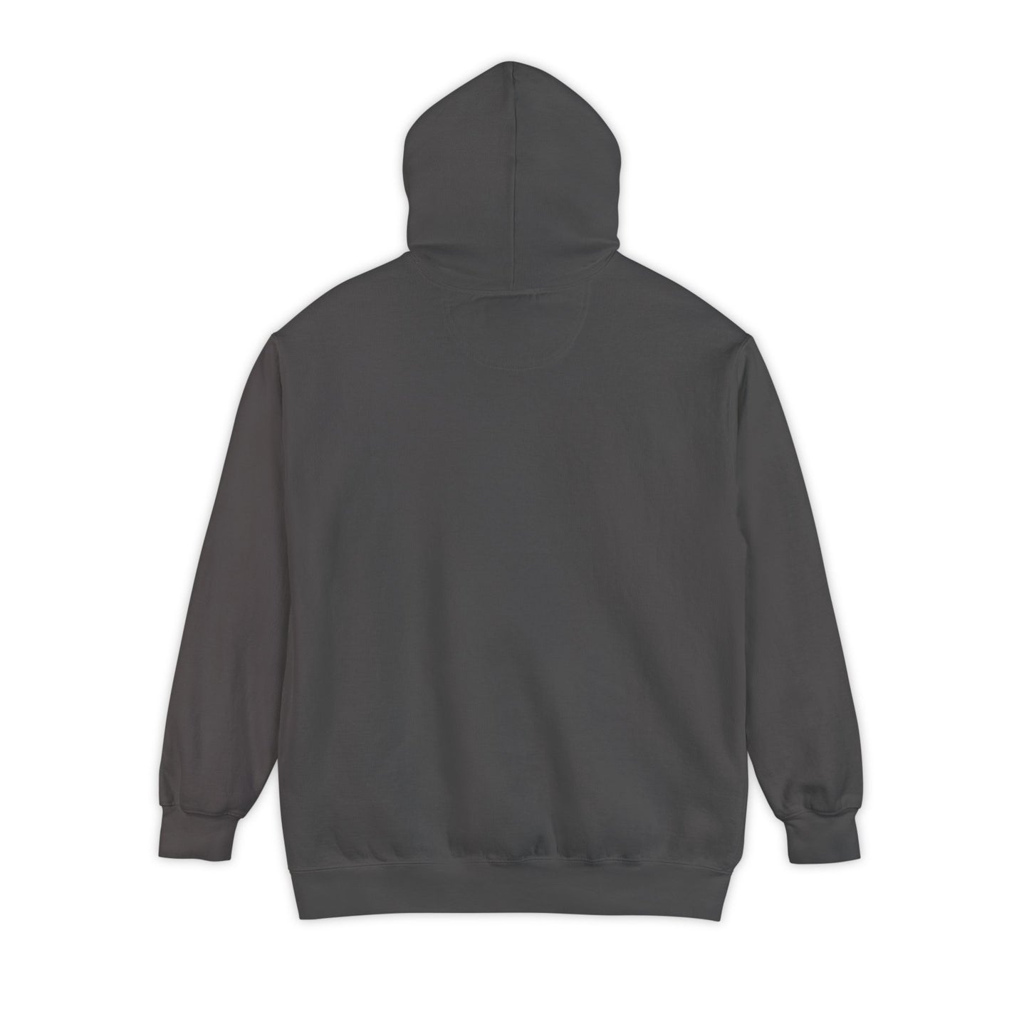 conscience Hoodie